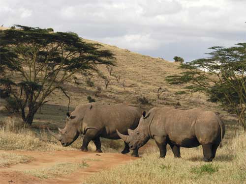 Le Safari de charme en Tanzanie